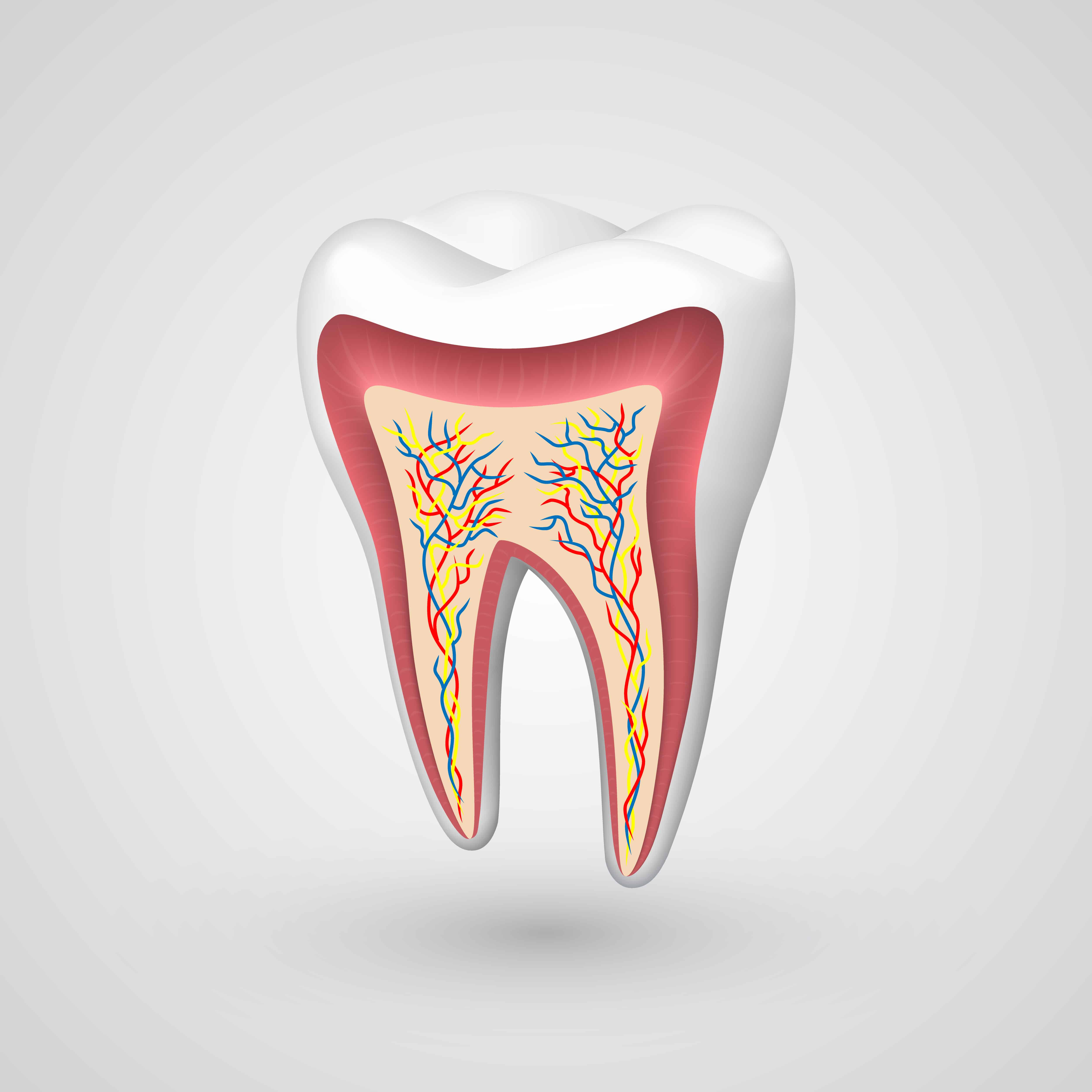 healing translucent tooth enamel