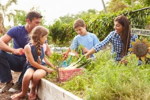 Family in garden