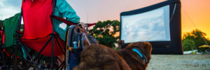 grand prairie community events